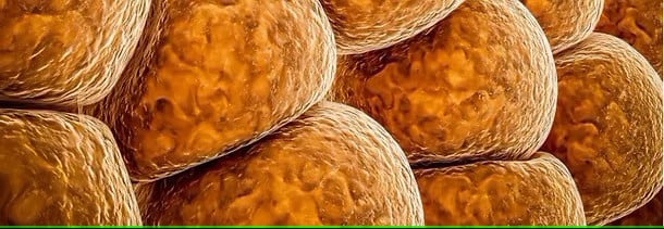 Lemon Bottle Fat Dissolving