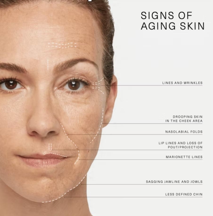 Image-credits-Allergan_edited